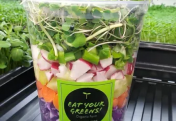 Fresh Organic Super Veggie - Loaded Salad